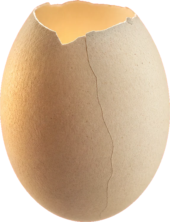 An empty eggshell, cracked, with a piece missing from the rim